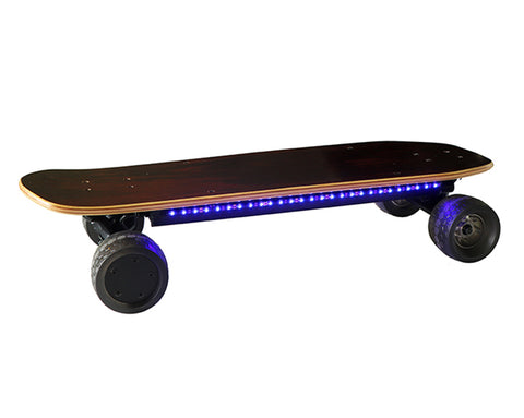 Ecomobl Mini 2WD 12S2P Street Electric Skateboard